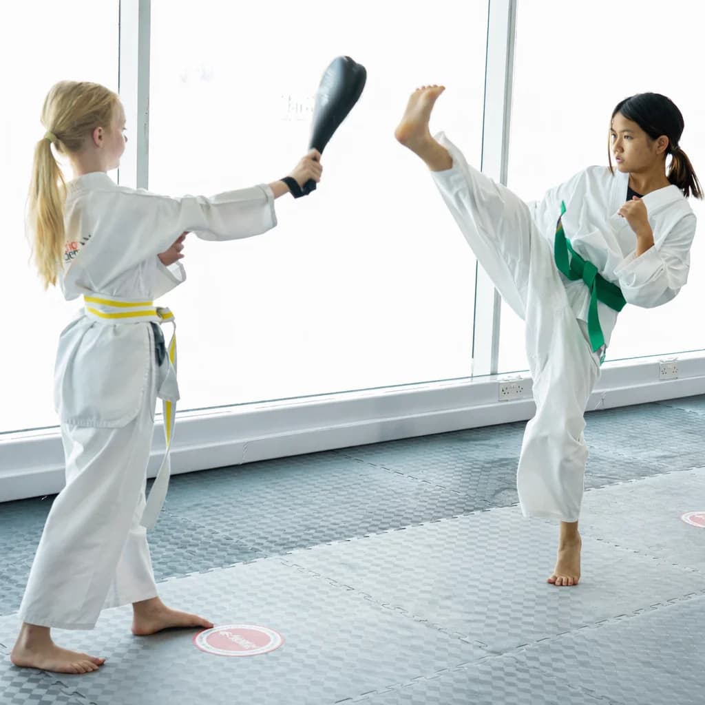 MMA Fundamentals — Teens & Adults 2