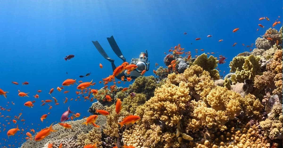 PADI Bubblemaker (8–10 yrs)