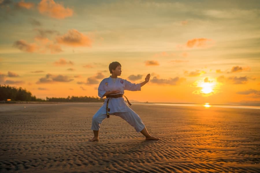 Adult Karate — All Levels 2