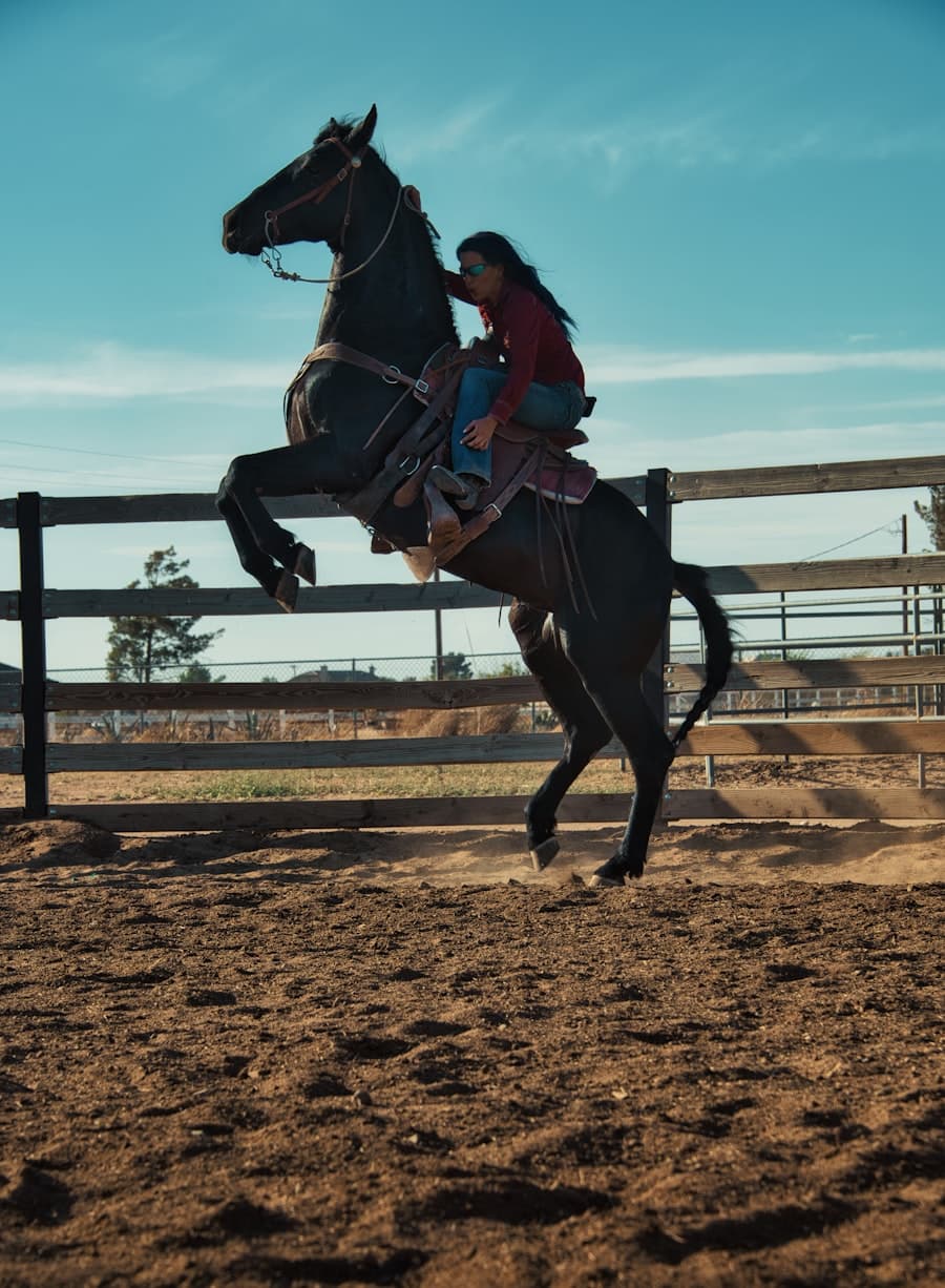 Desert Trail Ride (10+)